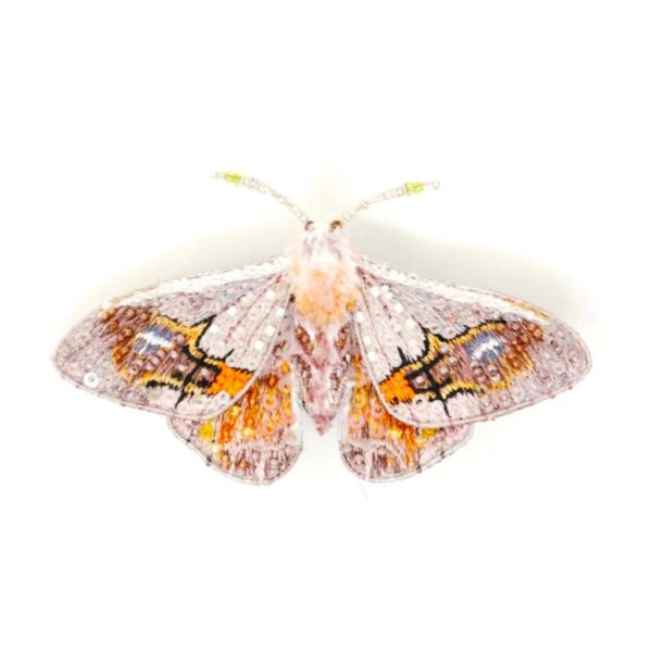 Drepanid Moth Brooch - TROVELORE