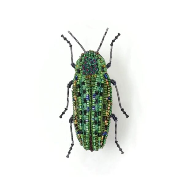 Lamprodila Beetle Brooch Pin - TROVELORE