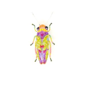 Sharpshooter Beetle Brooch - TROVELORE