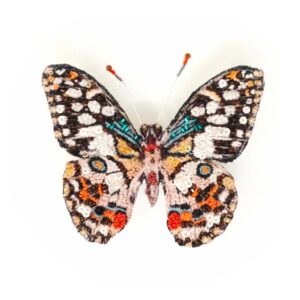 Lime Swallowtail Butterfly Brooch - TROVELORE