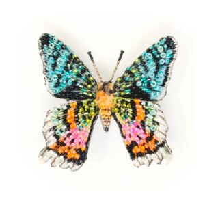 Madagascar Sunset Moth Brooch - TROVELORE