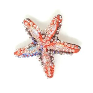 Pink Star Brooch - TROVELORE