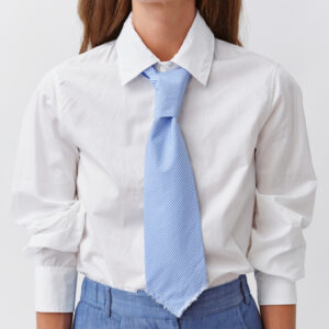Tie striped blue - DIEGA