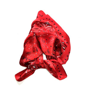 Silk Scarf small bandana red - IRMAS HUS